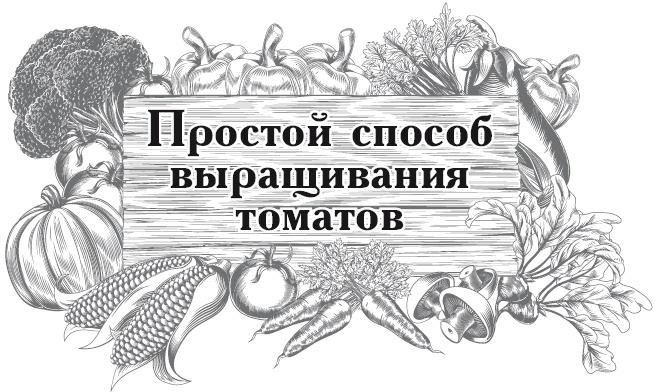 Большой урожай на маленьких грядках. Все секреты повышения урожайности