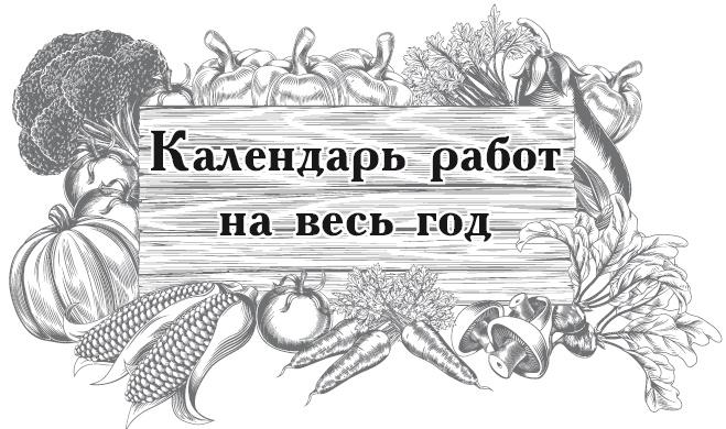 Большой урожай на маленьких грядках. Все секреты повышения урожайности