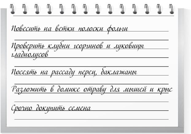 Большой урожай на маленьких грядках. Все секреты повышения урожайности