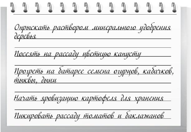 Большой урожай на маленьких грядках. Все секреты повышения урожайности