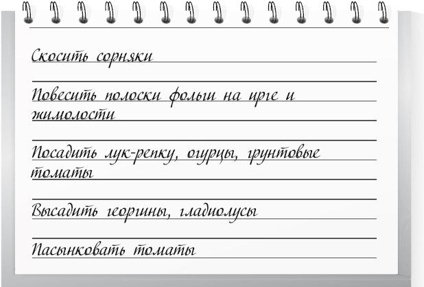 Большой урожай на маленьких грядках. Все секреты повышения урожайности