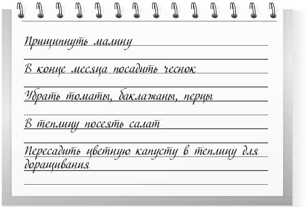 Большой урожай на маленьких грядках. Все секреты повышения урожайности