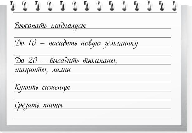 Большой урожай на маленьких грядках. Все секреты повышения урожайности