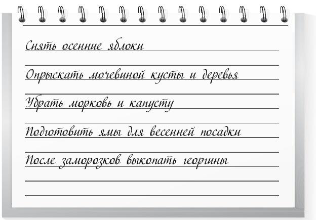 Большой урожай на маленьких грядках. Все секреты повышения урожайности