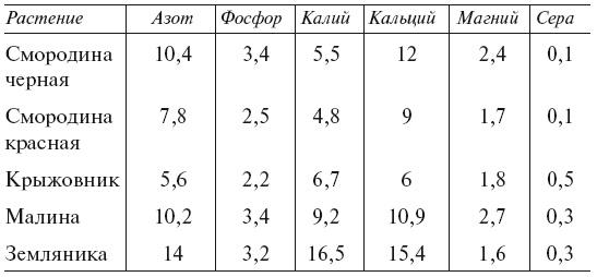 Большой урожай на маленьких грядках. Все секреты повышения урожайности