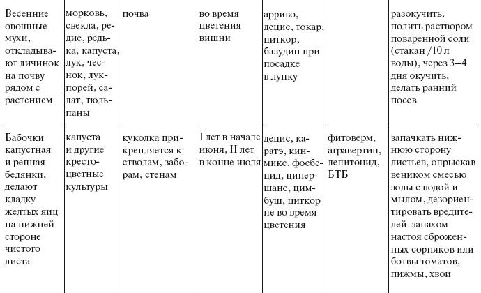 Большой урожай на маленьких грядках. Все секреты повышения урожайности