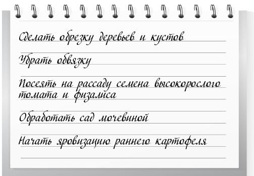 Сад и огород для тех, кому за… без лишних усилий