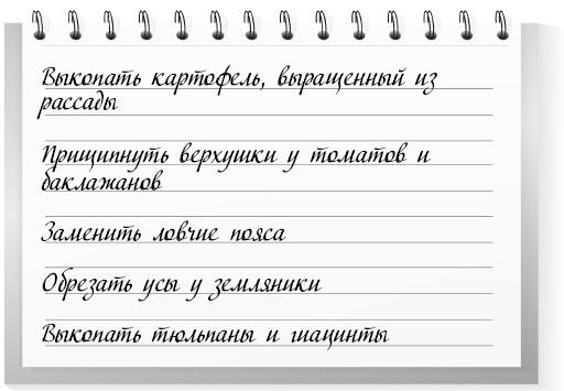 Сад и огород для тех, кому за… без лишних усилий