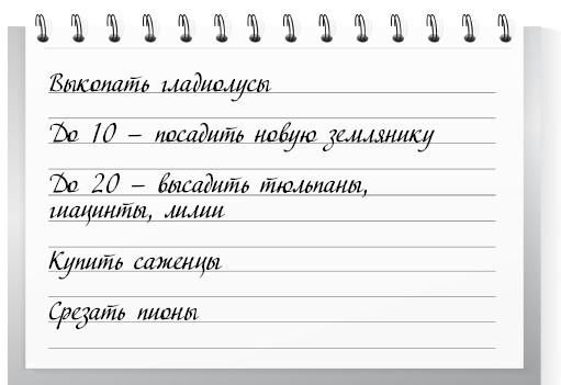 Сад и огород для тех, кому за… без лишних усилий