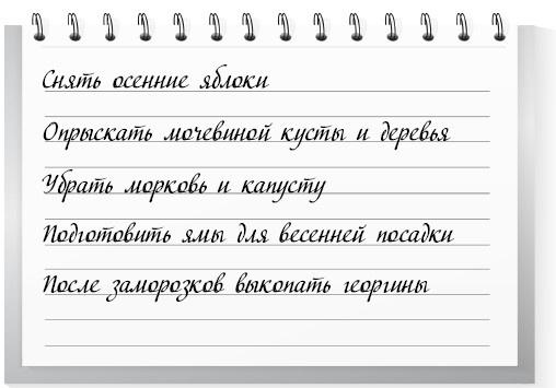 Сад и огород для тех, кому за… без лишних усилий