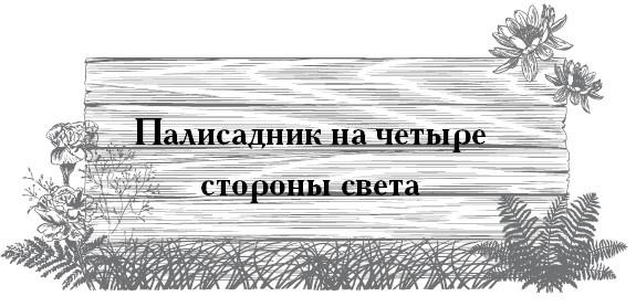 Сад и огород для тех, кому за… без лишних усилий