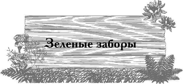 Сад и огород для тех, кому за… без лишних усилий