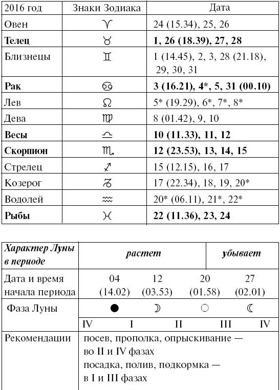 Сад и огород для тех, кому за… без лишних усилий