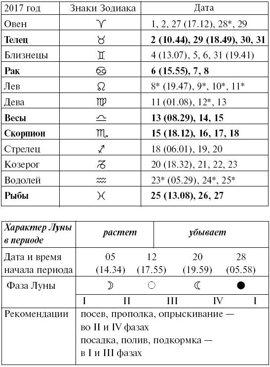 Сад и огород для тех, кому за… без лишних усилий