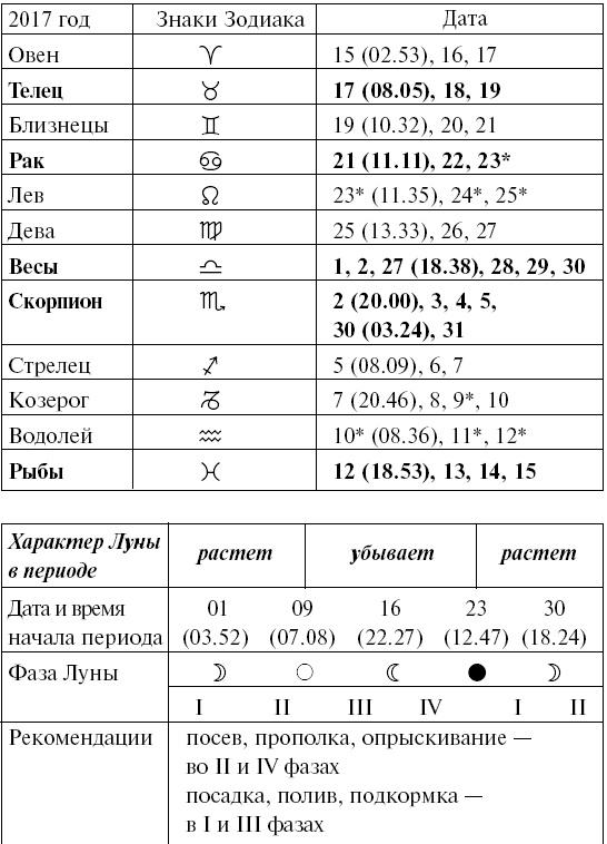 Сад и огород для тех, кому за… без лишних усилий