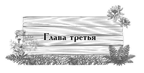 Цветник для ленивых. Цветы от последнего снега до первых морозов