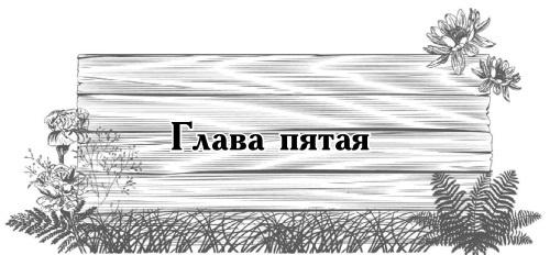 Цветник для ленивых. Цветы от последнего снега до первых морозов