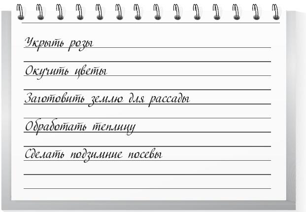 Огород по-русски. Мало сажаем, много собираем