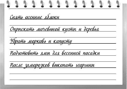 Чудо-грядки: не копаем, а урожай собираем