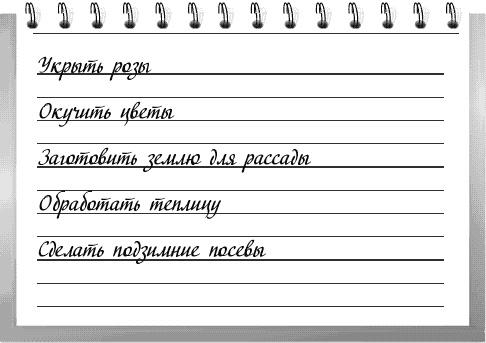 Чудо-грядки: не копаем, а урожай собираем