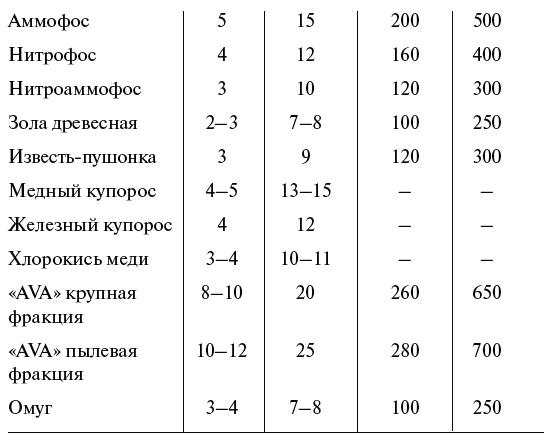 Чудо-грядки: не копаем, а урожай собираем