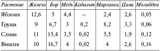 Чудо-грядки: не копаем, а урожай собираем