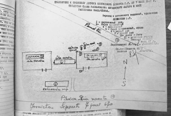 По обе стороны фронта. Неизвестные факты Великой Отечественной войны