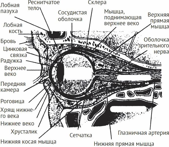 Одна книга на всю жизнь. Весь "Опыт дурака" в одной книге