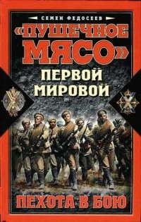 Книга « "Пушечное мясо" Первой мировой. Пехота в бою » - читать онлайн