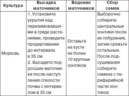 Всё о семенах овощных культур