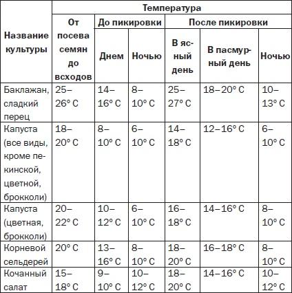 Всё о семенах овощных культур