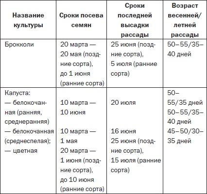 Всё о семенах овощных культур