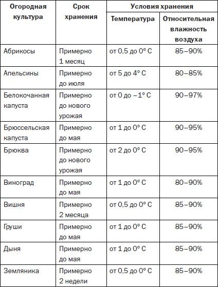 Современные подвалы, подполы и погреба