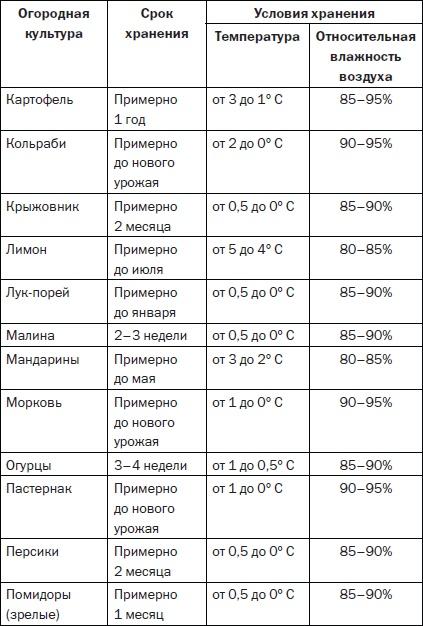 Современные подвалы, подполы и погреба