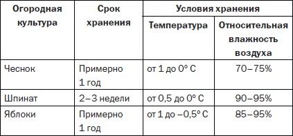 Современные подвалы, подполы и погреба