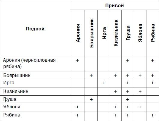 Прививка плодовых деревьев: распространенные ошибки и секреты успешной прививки