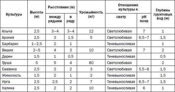 Прививка плодовых деревьев: распространенные ошибки и секреты успешной прививки