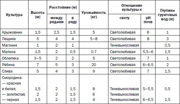 Прививка плодовых деревьев: распространенные ошибки и секреты успешной прививки