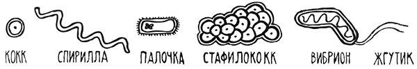 Загадка жизни и грязные носки Йоса Гротьеса из Дрила