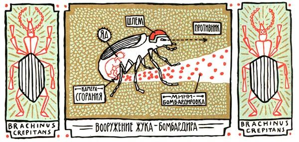 Загадка жизни и грязные носки Йоса Гротьеса из Дрила