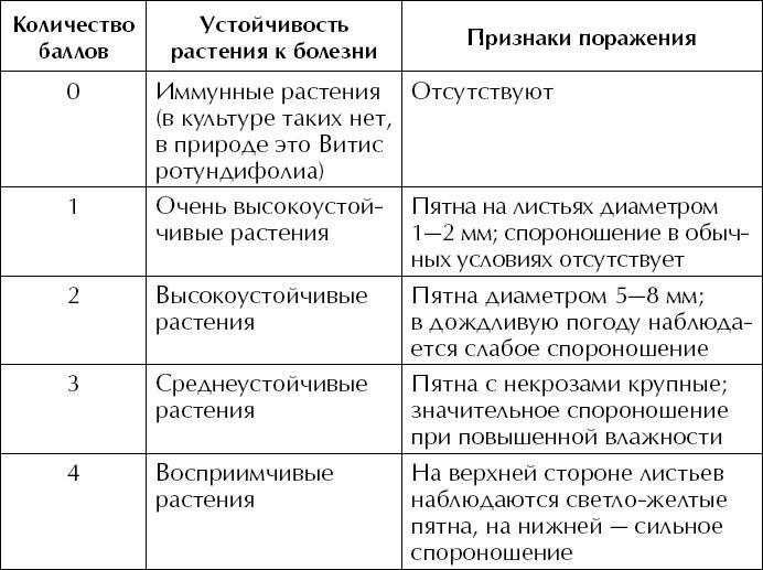 Большая энциклопедия виноградаря