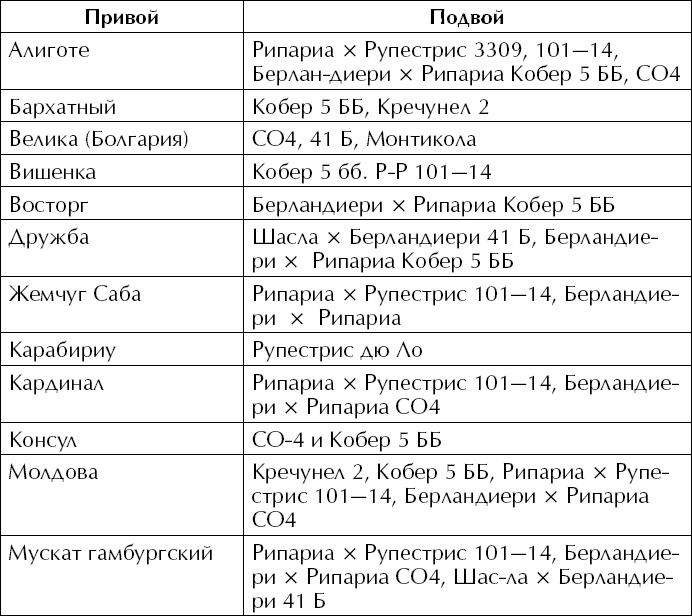 Большая энциклопедия виноградаря