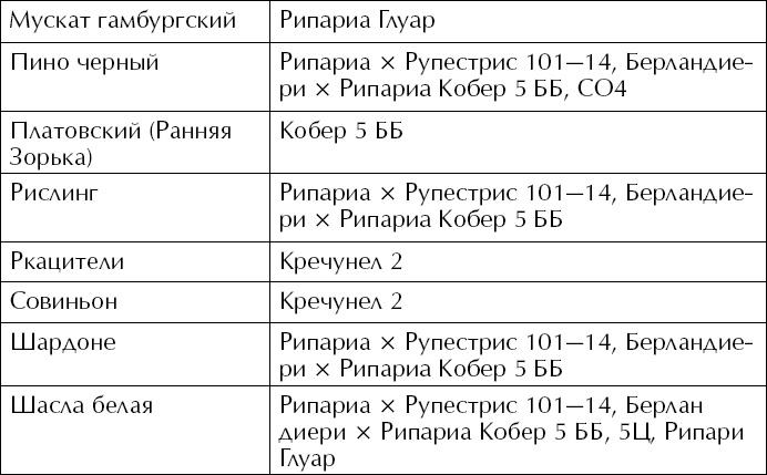 Большая энциклопедия виноградаря