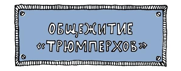 Удивительные приключения запредельно невероятной, исключительно неповторимой, потрясающей, ни на кого не похожей Маулины Шмитт. Часть 1. Мое разрушенное королевство