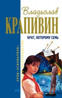 Книга « Брат, которому семь » - читать онлайн