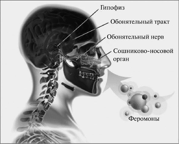 100 великих тайн медицины