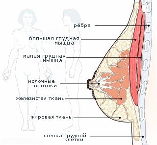 Судьба педераста или непридуманные истории из жизни…