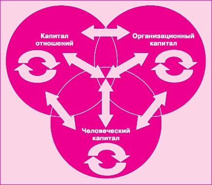 Управление знаниями. Как превратить знания в капитал