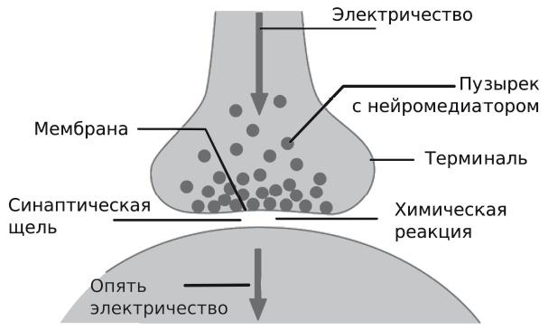 Вся фигня - от мозга?! Простая психосоматика для сложных граждан