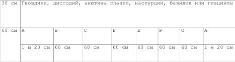 Однолетние цветы рукотворной красоты